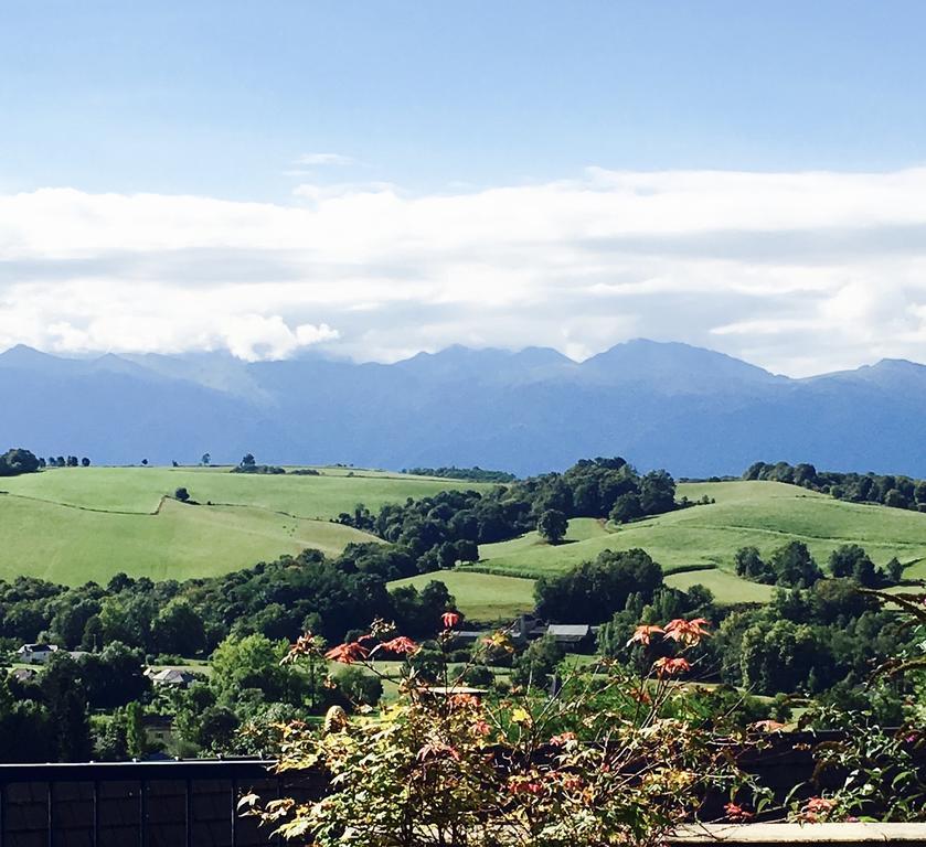 Les Gites De La Maison Bleue D'Estialescq Экстерьер фото
