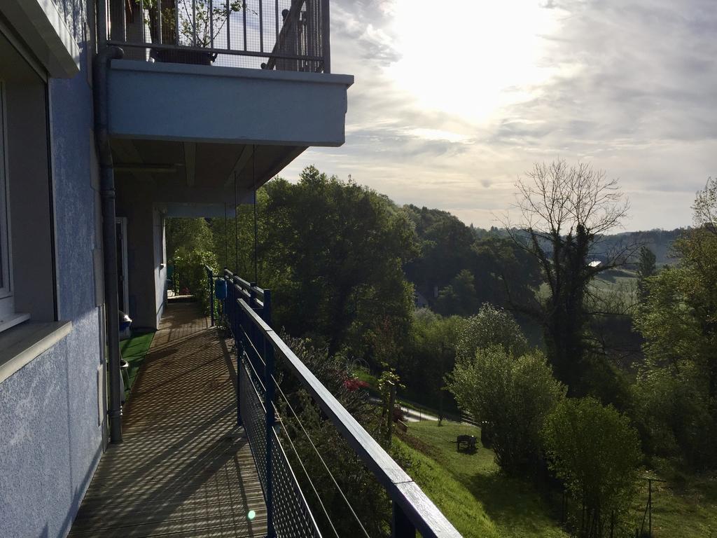 Les Gites De La Maison Bleue D'Estialescq Экстерьер фото